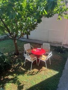 波德戈里察Gorica hill apartment的一张桌子和两把椅子,上面有红桌子和一棵树