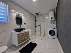 拉科维察帕里安旅馆的一间带水槽和洗衣机的浴室