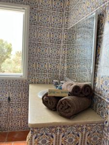 杰尔吉斯Maison d'Hote Domaine El-Manar的浴室配有盥洗盆、镜子和毛巾