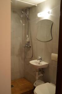 BubiaiMeškių dvarkiemis的带淋浴、卫生间和盥洗盆的浴室