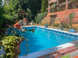 图恩卡萨图斯娜度假屋的一座大蓝色游泳池,在院子里种有植物