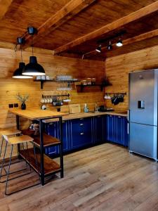 苏恰瓦Twin Cabins / Cabanele Gemene的厨房配有蓝色橱柜和不锈钢冰箱