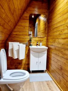 苏恰瓦Twin Cabins / Cabanele Gemene的小木屋内的浴室设有卫生间和水槽。