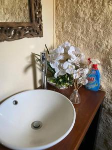 格兰贝伊Loft au coeur de Péreybère的浴室水槽,花瓶在台面上