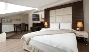 伊斯坦布尔Derpa Hotel的一间带大床的卧室和一间客厅