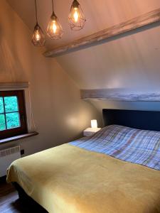 ZottegemPerlefien的一间卧室配有床、窗户和灯