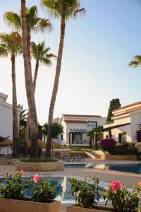卡兰博希Nuramar Resort & Villas的棕榈树和游泳池度假村