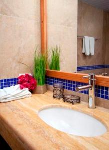 El YaqueHotel Posada La Mar的浴室的柜台设有水槽和镜子