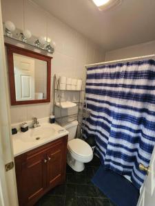 联城Luxury 2 bed apt, mins to NYC!的浴室配有水槽、卫生间和浴帘