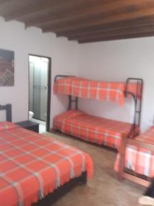 蒙特内哥罗Finca Hotel El SAMAN de alto bonito的客房设有两张双层床和镜子