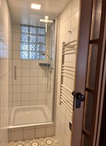 威斯巴登Apartment am Schloss-Park Wiesbaden Biebrich am Rhein的一间带浴缸和淋浴的浴室,并设有一个窗户