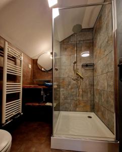 达内什Casa Emmara Sighisoara的浴室里设有玻璃门淋浴