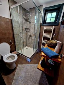 达内什Casa Emmara Sighisoara的带淋浴和卫生间的浴室