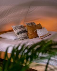 博维茨Glamping Gozdna Jasa的帐篷内的一张带四个枕头的床