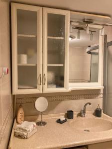 艾瓦勒克Modern Studio Apartment with Garden的厨房柜台设有水槽和镜子