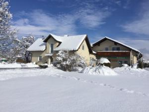 伊伯恩道夫诗纹度假公寓酒店的雪覆盖的房屋,车道