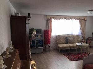 BrüggDouble room in nice house near the forest (basement floor)的带沙发和窗户的客厅