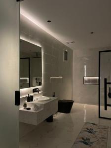 哈伊勒شاليه اند هوم的一间带水槽、卫生间和镜子的浴室