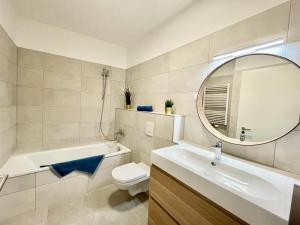 布达佩斯Penthouse Young #freeparking的浴室配有盥洗池、卫生间和镜子。