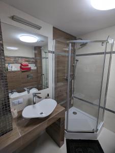 马科夫帕德哈兰斯基Makowy domek的一间带玻璃淋浴和水槽的浴室