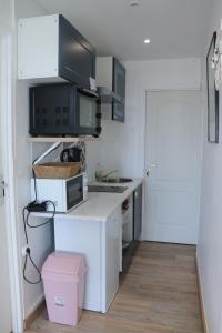 GagnyBeau studio proche gare的一间带水槽和微波炉的小厨房
