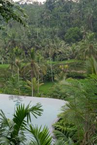 德格拉朗GK Bali Resort的享有棕榈树热带森林的美景