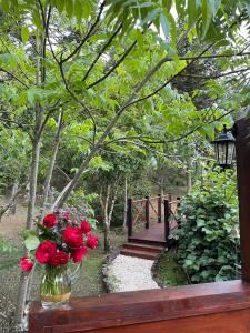 圣若阿金Solar do Oriente - Yurt Ecovillage的红玫瑰花瓶,坐在长凳上,桥上