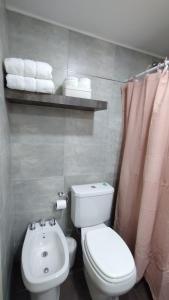 迈普Vid_y_Olivo. Cómodo departamento en el centro de Maipú的浴室配有卫生间、水槽和毛巾。