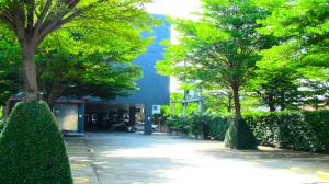 Ban Bang Toei (1)Nest n Rest Hotel的建筑前有树木的人行道