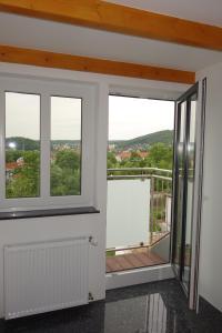 巴特基辛根Ferienwohnung & Wellness的客房设有2扇窗户和阳台。