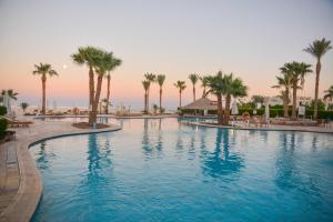 沙姆沙伊赫Safir Sharm Waterfalls Resort的度假村内一座种有棕榈树的大型游泳池