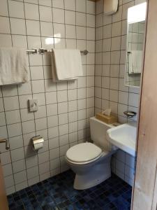 上瓦尔德富尔卡酒店的一间带卫生间和水槽的浴室