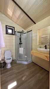 休钦斯克Гостинично-банный комплекс PARADISE的浴室配有卫生间、淋浴和盥洗盆。
