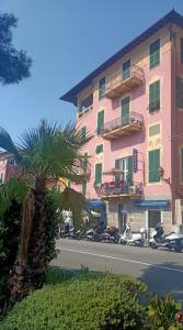 阿伦扎诺塞瑞纳酒店的棕榈树在粉红色建筑前