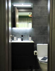 塞萨洛尼基Sky Nomads的一间带水槽、镜子和卫生间的浴室