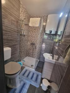 班约勒Studio apartment LENI的浴室配有卫生间、淋浴和盥洗盆。
