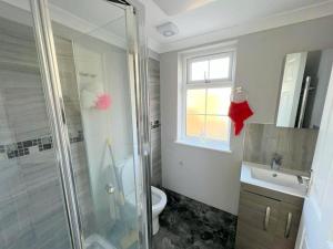米查姆Lilleshall Rooms的带淋浴、卫生间和盥洗盆的浴室