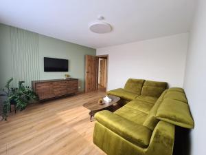 希奥利艾Samanų apartamentai的客厅配有绿色沙发和电视