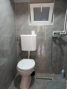 Vila Nikola的一间带卫生间和淋浴的浴室