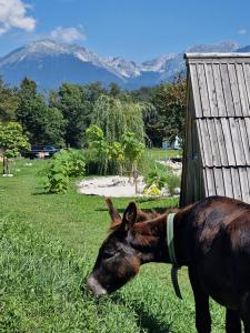 Glamping alp hut in camping Garden Park平面图