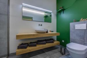 OlenBleekhoeve的一间带水槽、卫生间和镜子的浴室