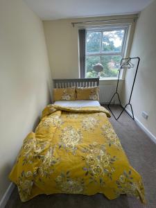 利兹Bethel Apartments的窗户房间里一张黄色的床