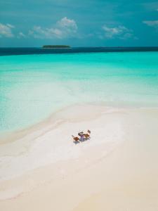 KendhooDhoani Maldives Guesthouse的坐在海边的一对夫妇