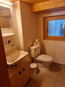 Guttannen古坦能伯尔尼高地公寓的一间带卫生间和水槽的浴室