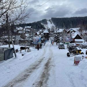米戈韦Шаленарозі的雪覆盖的村庄,人们沿着雪覆盖的道路走