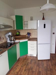 伏尔塔瓦河畔赫卢博卡Ubytování u Jany的厨房配有绿色和白色的橱柜和冰箱。