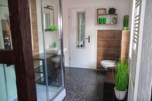 伊尔森堡Brockensicht的一间带玻璃淋浴和卫生间的浴室