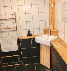 斯泰厄Hvidegaard Møn的一间带水槽和淋浴的小浴室