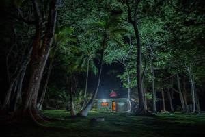 La GuayraPuntita Manzanillo, fantastic sea and jungle retreat的森林中的一个晚上的房子