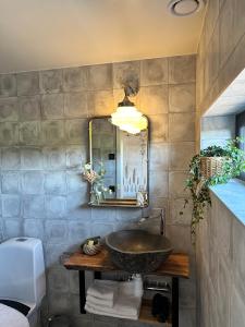 阿灵索斯Boutiquehotell Dahlbogården的一间带水槽和镜子的浴室